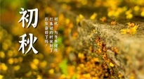 【艾灸知識(shí)】初秋，為冬季健康打基礎(chǔ)的時(shí)候到了，你準(zhǔn)備好了嗎？