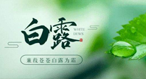 【二十四節(jié)氣灸】白露涼爽，養(yǎng)心肝脾胃、滋陰潤(rùn)肺是關(guān)鍵！