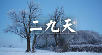 【三九養(yǎng)生】冬二九，扶陽補(bǔ)腎氣，讓你陽氣充足一整年！