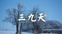 【三九養(yǎng)生】冬三九，三九第三灸，一年中最后艾灸黃金9天！