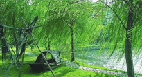 【養(yǎng)生知識】元宵入六九，春季已至，六九天的養(yǎng)生知識你知道多少？