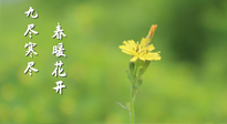 【九九養(yǎng)生】三月四日“九九日”，寒冬已過(guò)。春天養(yǎng)好身，全年不怕??！