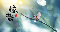【二十四節(jié)氣灸】驚蟄節(jié)氣，艾灸喚醒抵抗力、補(bǔ)充陽(yáng)氣的最好時(shí)機(jī)！