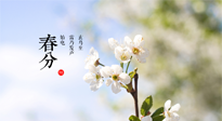 【二十四節(jié)氣灸】春分，平分了大地晝夜；艾灸，平衡了身體陰陽(yáng)！