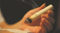 【艾灸知識(shí)】春暖花開，衣衫漸薄，再不減肥，身上的肉肉可藏不住了！