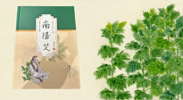 【行業(yè)資訊】國內(nèi)首部艾草專著《南陽艾》，在南陽新書首發(fā)！