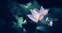 【二十四節(jié)氣灸】趁大暑好好艾灸，才不辜負三伏天的驕陽！