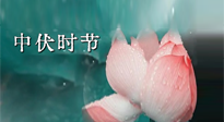 【艾灸三伏天】中伏：三伏灸的關(guān)鍵轉(zhuǎn)折點！“灸”除病根的大好時機！