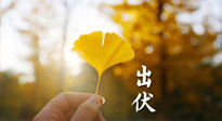 【艾灸三伏天】出伏啦！三防三宜兩穴位，防止身體“秋后算賬”！