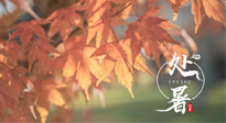 【二十四節(jié)氣灸】處暑，冬病夏治倒計時！秋涼真的要來了！